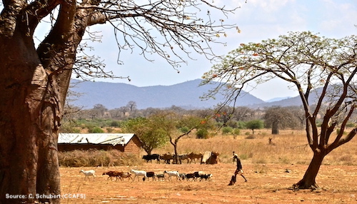 Tanzania Climate smart
